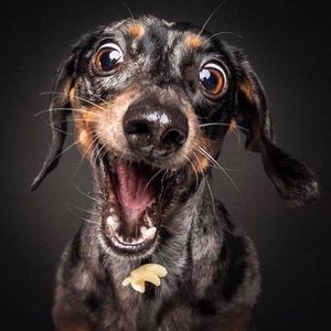 Meet your Posher, Ivan